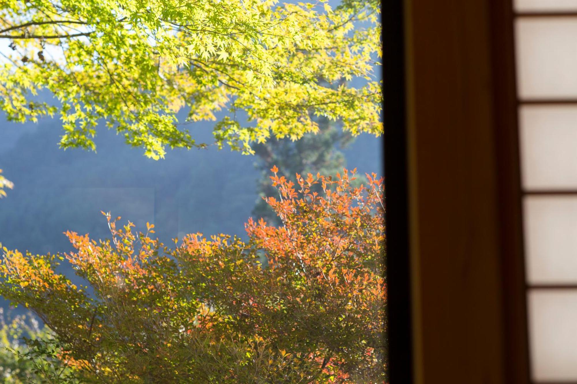 Auberge Funoki Nakacu Kültér fotó